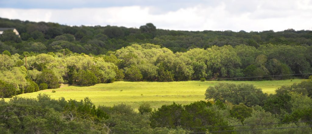 OTHER DOCUMENTS Creekwood Ranches - DSC 1072 Webcropped 1 1024x441 